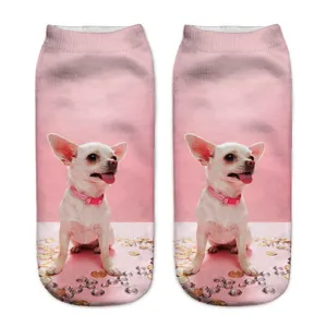 Detailed view of pink 3d printed cute chihuahua dog short socks for daily casual wear.