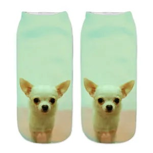 Cute 3D printed white chihuahua dog short socks for adults, funny animal ankle socks.
