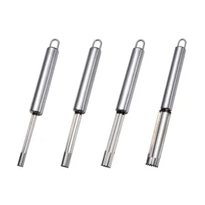 Stainless steel fruit date corer set 4pcs kitchen tool for cherry hawthorn apple