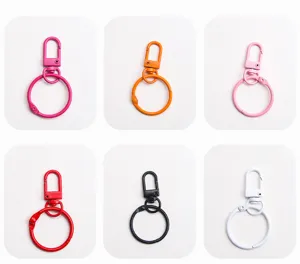 Colorful metal keychain and binder rings detail view, ideal for DIY crafts and accessories.