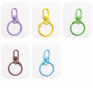 Colorful metal baking paint keychains set, DIY hardware key rings for craft and accessories.