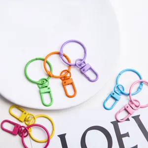 Colorful metal lobster clasp keychains and split rings set for DIY craft accessories