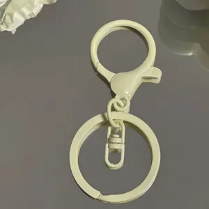 Hellgrüner Metall Schlüsselanhänger Karabiner und flacher Ring Detailansicht Zubehör.