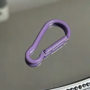 Purple aluminum alloy carabiner keychain D ring clip outdoor DIY accessory close-up detail shot