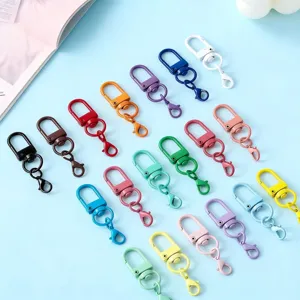 Colorful metal lobster clasp swivel keychain hardware details, DIY jewelry accessory parts.