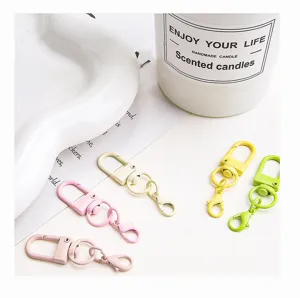 Bunte Metall Karabinerhaken Schwenkverschluss Set für DIY Handtaschen Schlüsselanhänger.