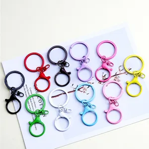 Bunte Legierung Schlüsselanhänger Zubehör Detailansicht, Karabiner und Ring Set.