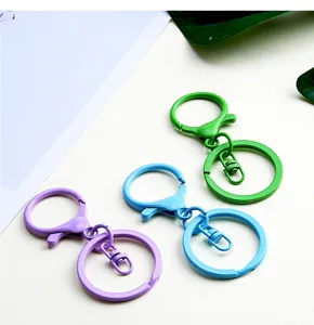 Bunte Legierung Schlüsselanhänger Teile Nahaufnahme, Karabiner und Flachring Details.