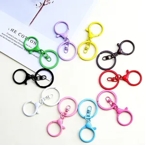 Buntes Legierung Karabinerhaken Schlüsselanhänger Set, Metall Ring Hardware für DIY Handwerk.