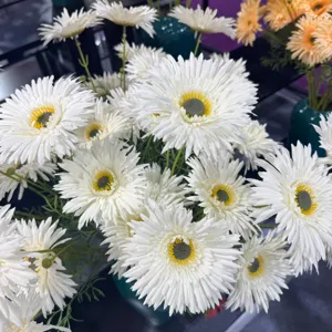 Detailed close-up of white artificial gerbera daisy flowers with green stems for floral decor.