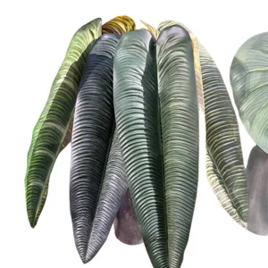 Artificial green plant long taro leaf banana leaf home decor landscaping plant wall flower arrangement