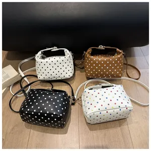 Small polka dot cosmetic bag and handbag, multi-color portable storage organizer for daily use.