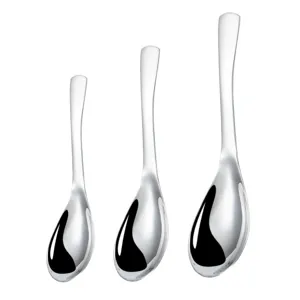 Set of 3 stainless steel soup spoons, polished deep spoons for home kitchen tableware use.