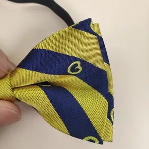 Close-up detail of the blue and yellow striped bow tie with elastic band and cute embroidery.