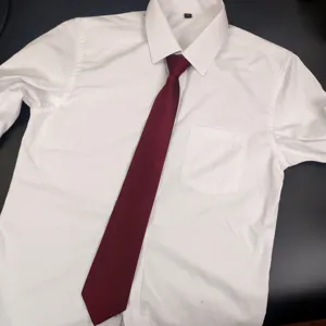 Camicia da uomo bianca a maniche corte abbinata a una cravatta classica rosso scuro.