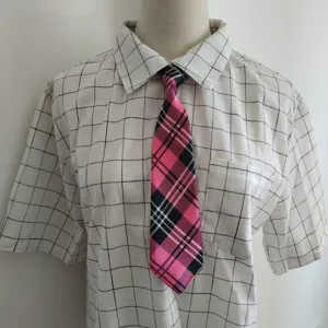 Short pink black plaid tie paired with a grid shirt, trendy student accessory for daily wear.