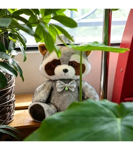 Cute gentleman raccoon plush toy, soft stuffed animal doll with silver hat and bow tie for kids.
