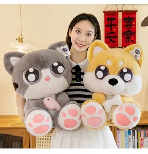 Cute big-eyed cat and Shiba Inu plush toys, soft stuffed doll in detail scene presentation.