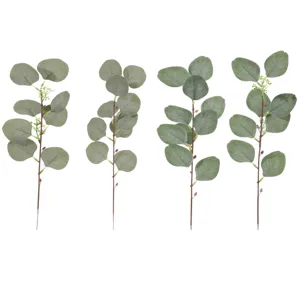 Artificial eucalyptus branches with leaves and fruits, short stem green plants for DIY floral decor.