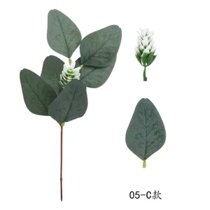 Detail van eucalyptus bladeren tak detailweergave met witte bessen voor decoratie.
