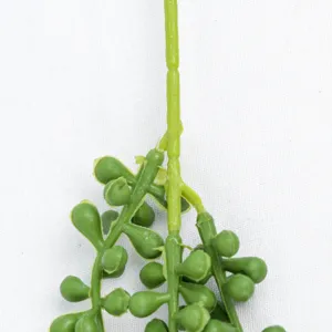 Artificial succulent string of pearls plant detail close up green plastic vine decor