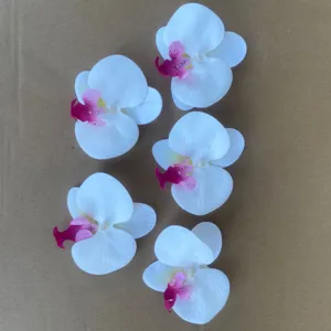Artificial white phalaenopsis orchid flower heads for wedding decoration DIY crafts 5pcs