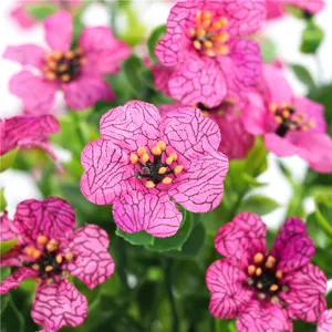 Dettaglio fiore di seta viola artificiale, decoro floreale rosa retrò, pianta finta per casa.