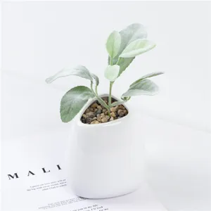 Mini artificial lamb's ear plant potted in white ceramic pot with stones for home table decor.