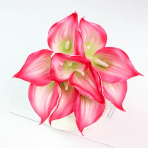 Gros plan sur la tête de lys calla artificiel rose et blanc vif, détail de texture.