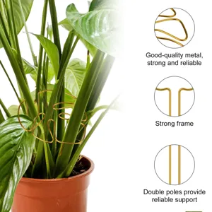 Metal plant support stake for potted plants, durable iron frame with double poles.