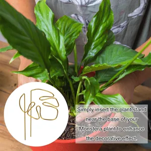 Golden metal monstera leaf plant support stake for potted garden flowers and indoor plants.