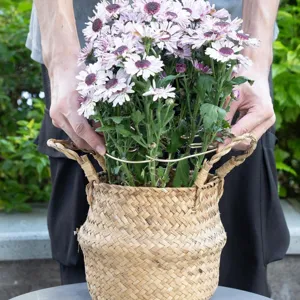 Metal plant support stake for garden flower pots, durable greening tool for floral arrangement, detail view.