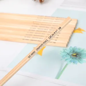 Close-up detail shot of eco-friendly wooden hexagonal HB graphite pencils with clear branding.