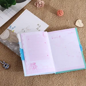 Schattig 32K studenten dagboek notitieboek met cijferslot, roze gelinieerde binnenpagina's.