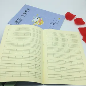 Chinesisches Pinyin Übungsheft für Kinder, augenschonendes Papier mit Standard-Raster.