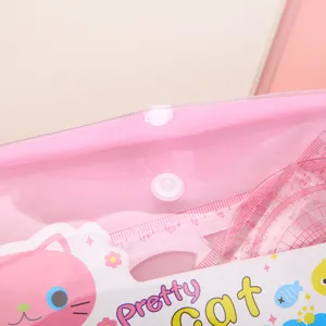 Gros plan sur la trousse transparente rose avec motif de chat mignon et ensemble de règles.