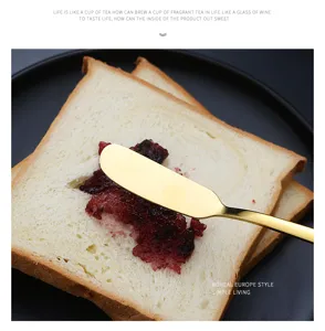 Couteau a beurre en acier inoxydable pour tartiner confiture et fromage sur le pain.