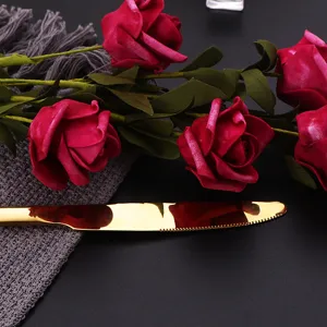 Gold stainless steel steak knife for western table setting, premium kitchen cutlery tool.