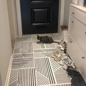 Nordic minimalist PVC loop floor mat for entryway, dirt-resistant and anti-slip home decor.