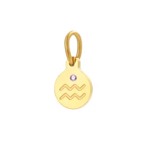 Gold stainless steel Aquarius zodiac sign pendant charm with sparkling purple birthstone crystal.