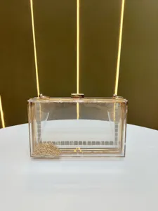 Clear acrylic box clutch evening bag with gold chain strap for women elegant detail view
