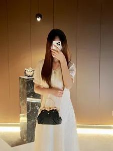 Elegant evening handbag with metal top handle and sparkling diamonds for women fashion accessory