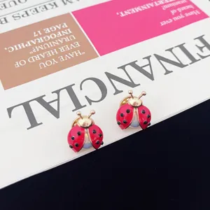 Gedetailleerd overzicht van een creatieve lieveheersbeestje broche met rode email.