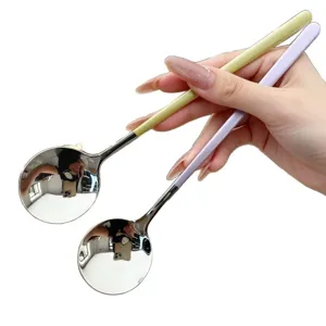 Roestvrijstalen lepelset met matte pastelhandvatten, draagbaar servies voor dagelijks.