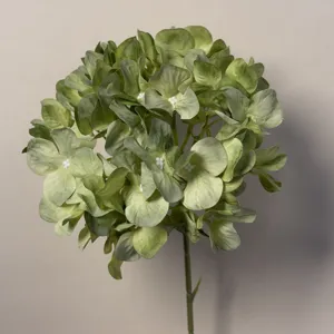 Dettaglio ravvicinato di stelo di ortensia artificiale verde, perfetto per bouquet.