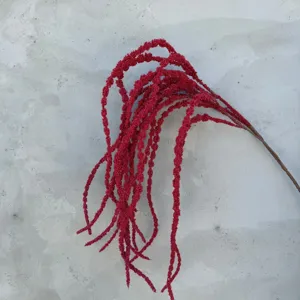 Nahaufnahme Detail des künstlichen roten hängenden Amarant-Blumenzweigs, realistische Textur.