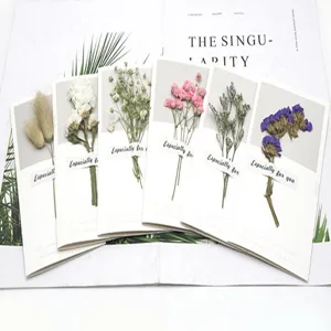 Dried flower greeting cards set with natural pressed plants, perfect for festival gifts and wishes.