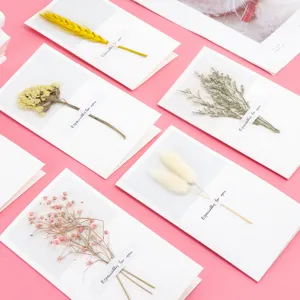 Dried flower greeting cards set, exquisite small blank cards for birthday and holidays.