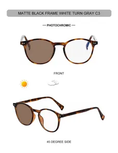 Men's Fashion Oval Photochromic Sunglasses UV Protection Eyewear Retro Tortoise Frame