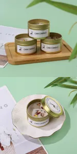 Scented candle crystal stone dried flower metal tin home fragrance gift set decor